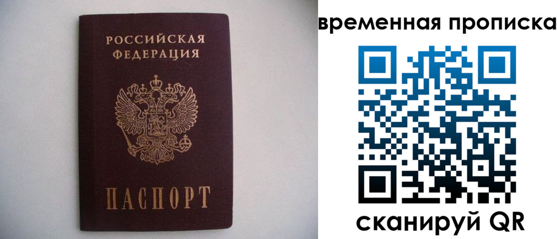 прописка гарантия в Черногорске